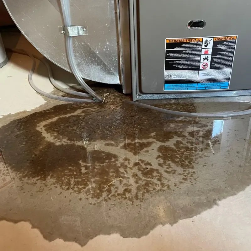Pipe Burst and Leak Restoration in Dewey County, OK